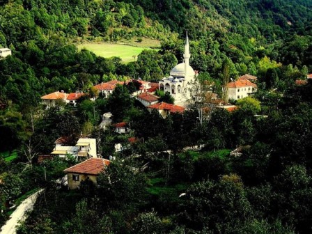 Iste Yalova nin 43 koyunun 2025 nufusu